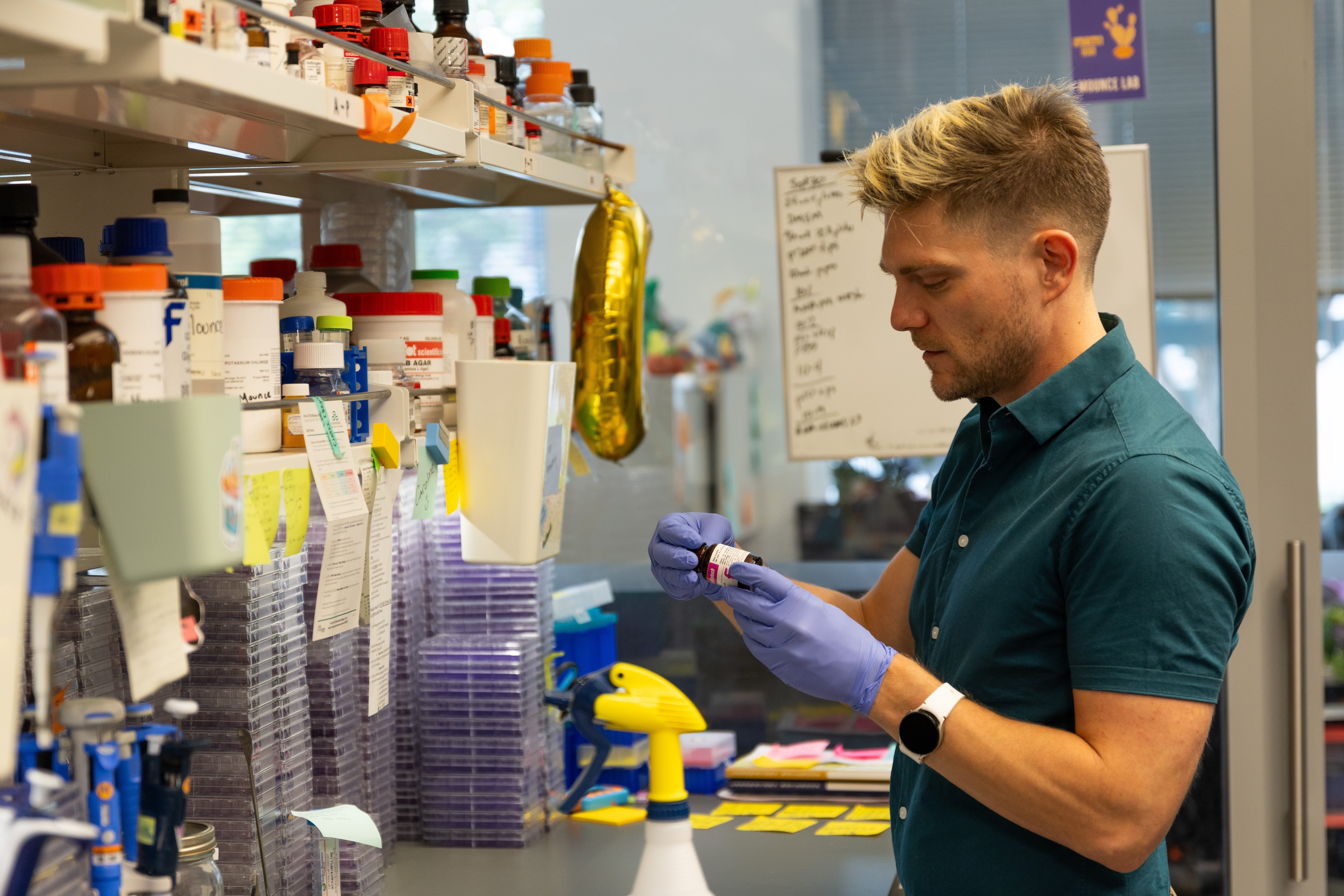 Dr. Mounce working in lab